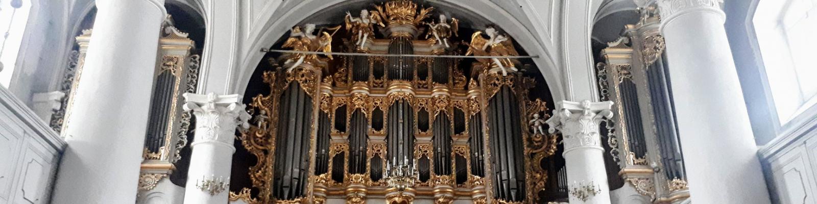 Orgel 
